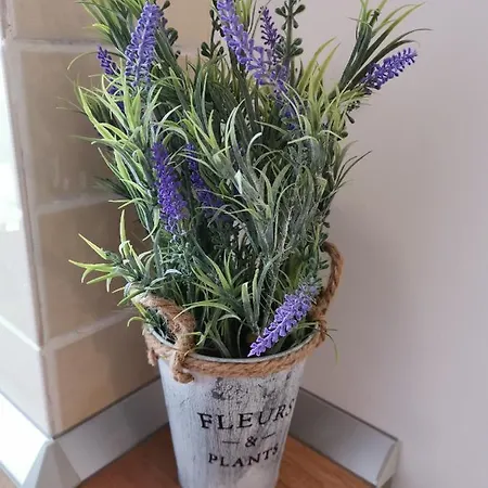 Dragoste Si Lavanda *