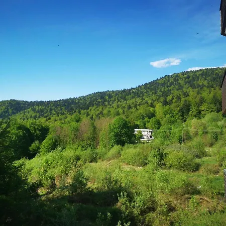 Dragoste Si Lavanda * Sinaia